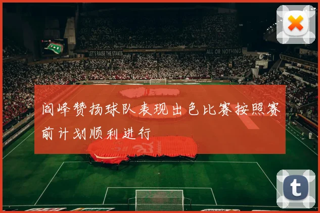 阎峰赞扬球队表现出色比赛按照赛前计划顺利进行